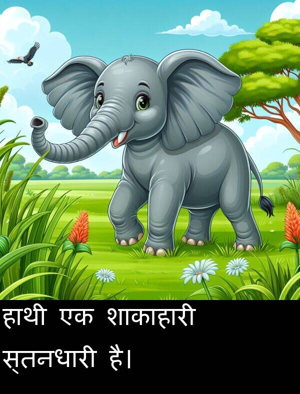 हाथी: हाथी एक शाकाहारी स्तनधारी है।