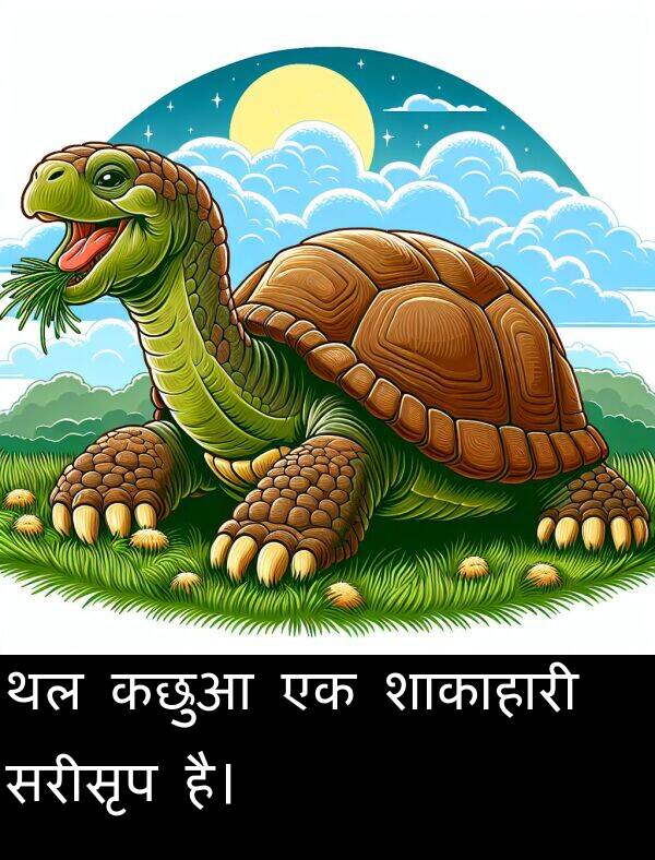 सरीसृप: थल कछुआ एक शाकाहारी सरीसृप है।