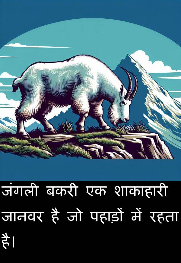 पहाड़ों: जंगली बकरी एक शाकाहारी जानवर है जो पहाड़ों में रहता है।