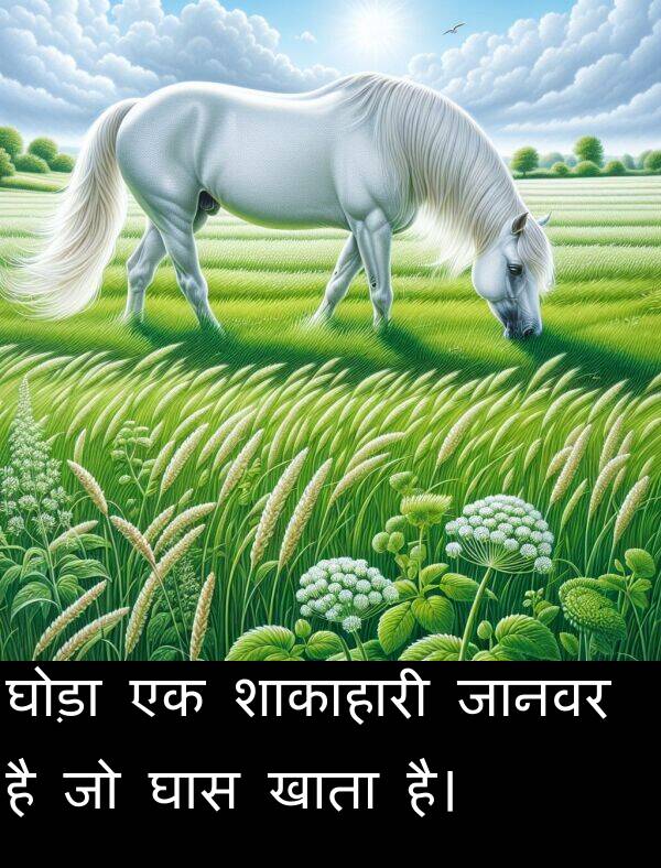 खाता: घोड़ा एक शाकाहारी जानवर है जो घास खाता है।