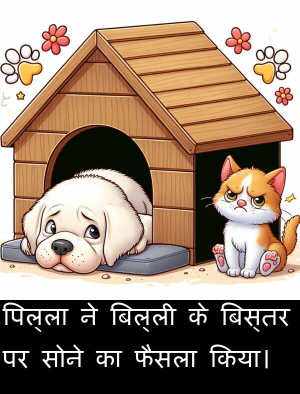 फैसला: पिल्ला ने बिल्ली के बिस्तर पर सोने का फैसला किया।