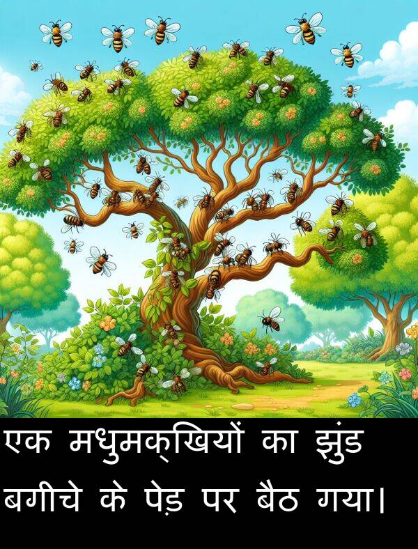 बगीचे: एक मधुमक्खियों का झुंड बगीचे के पेड़ पर बैठ गया।