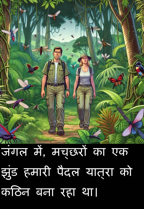 हमारी: जंगल में, मच्छरों का एक झुंड हमारी पैदल यात्रा को कठिन बना रहा था।