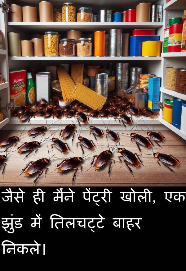 खोली: जैसे ही मैंने पेंट्री खोली, एक झुंड में तिलचट्टे बाहर निकले।