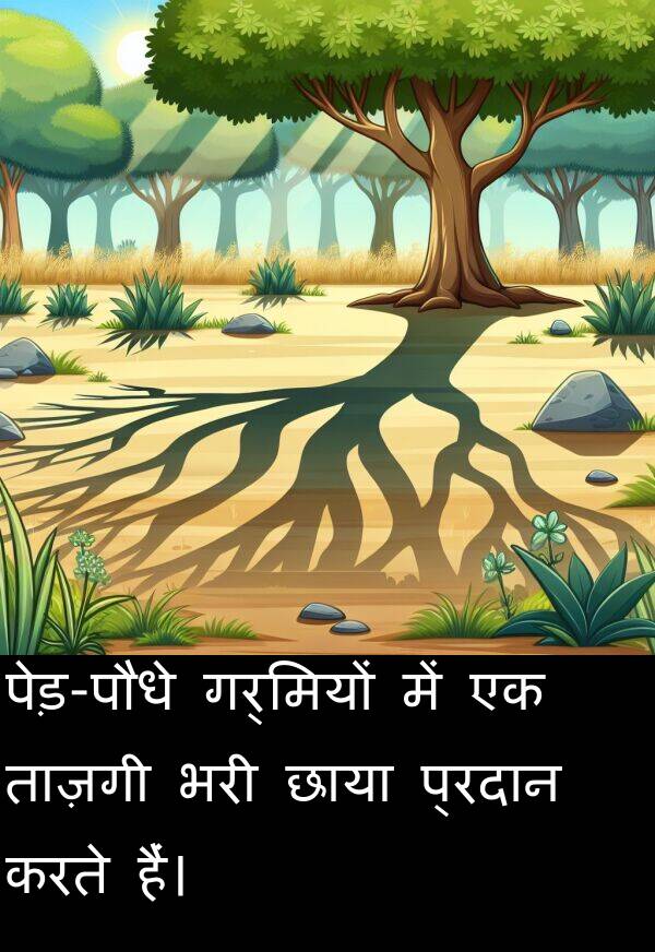 गर्मियों: पेड़-पौधे गर्मियों में एक ताज़गी भरी छाया प्रदान करते हैं।