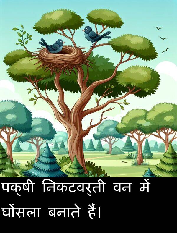बनाते: पक्षी निकटवर्ती वन में घोंसला बनाते हैं।