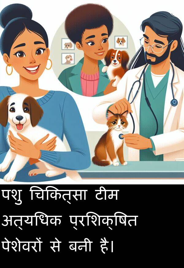 पशु: पशु चिकित्सा टीम अत्यधिक प्रशिक्षित पेशेवरों से बनी है।