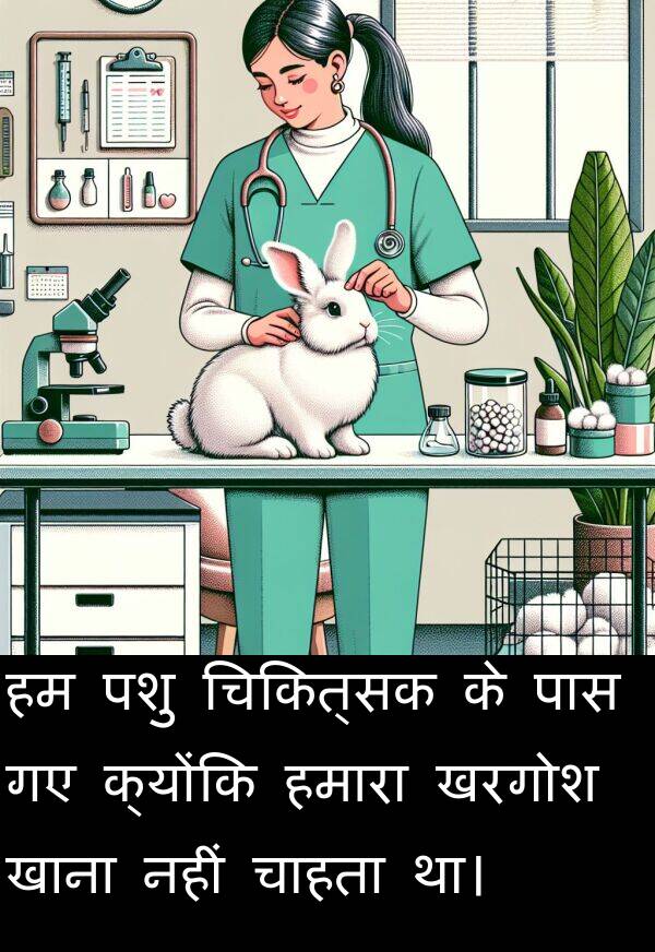 खरगोश: हम पशु चिकित्सक के पास गए क्योंकि हमारा खरगोश खाना नहीं चाहता था।