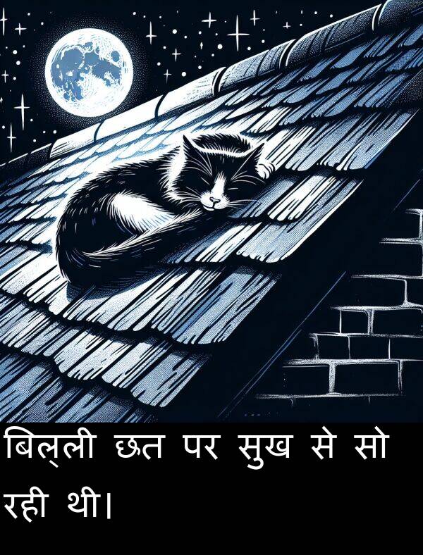 रही: बिल्ली छत पर सुख से सो रही थी।