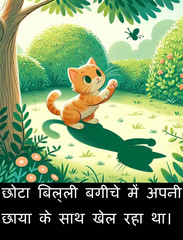 खेल: छोटा बिल्ली बगीचे में अपनी छाया के साथ खेल रहा था।