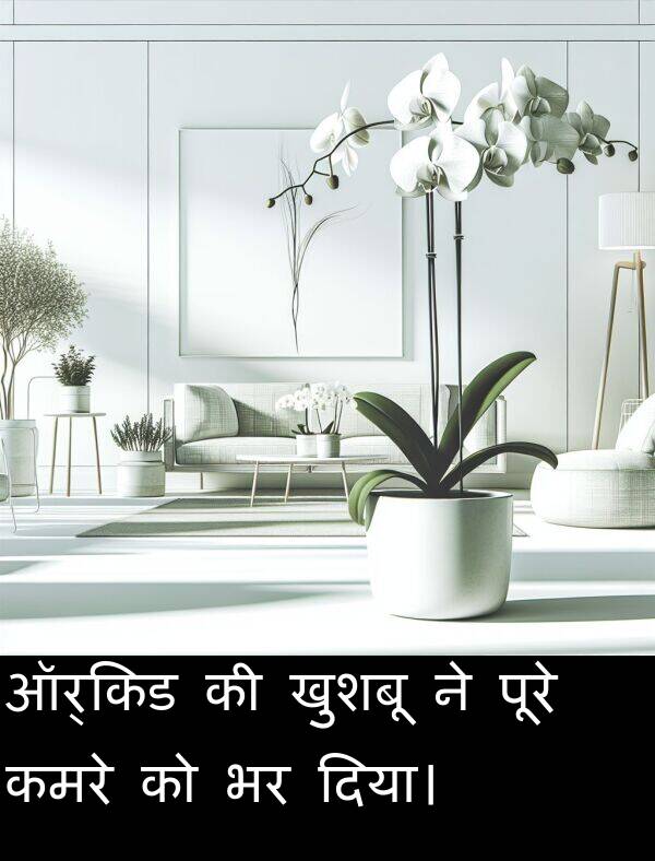 खुशबू: ऑर्किड की खुशबू ने पूरे कमरे को भर दिया।