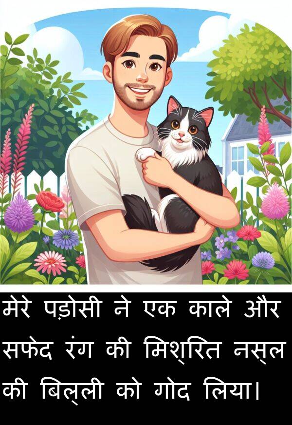 पड़ोसी: मेरे पड़ोसी ने एक काले और सफेद रंग की मिश्रित नस्ल की बिल्ली को गोद लिया।