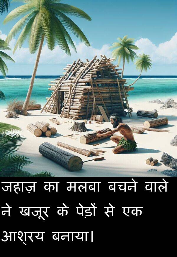 खजूर: जहाज़ का मलबा बचने वाले ने खजूर के पेड़ों से एक आश्रय बनाया।