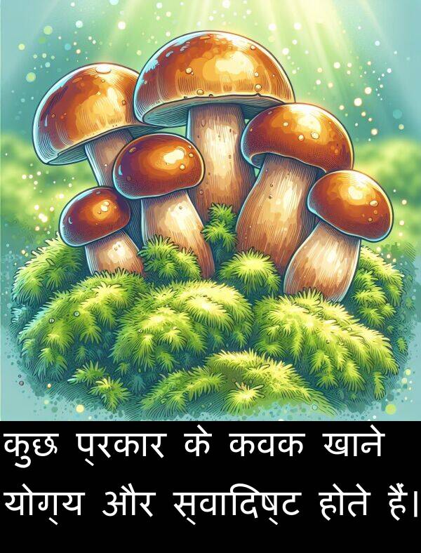प्रकार: कुछ प्रकार के कवक खाने योग्य और स्वादिष्ट होते हैं।