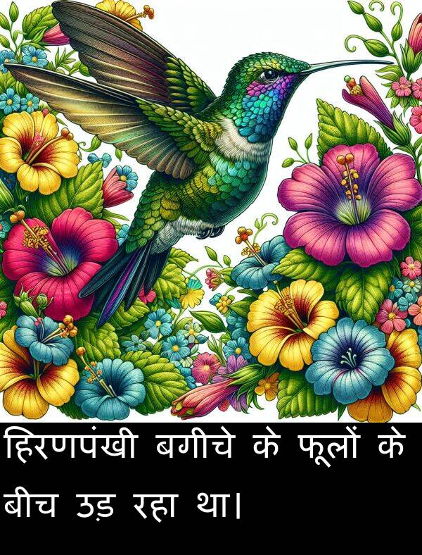 फूलों: हिरणपंखी बगीचे के फूलों के बीच उड़ रहा था।
