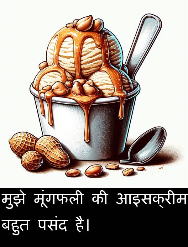 पसंद: मुझे मूंगफली की आइसक्रीम बहुत पसंद है।