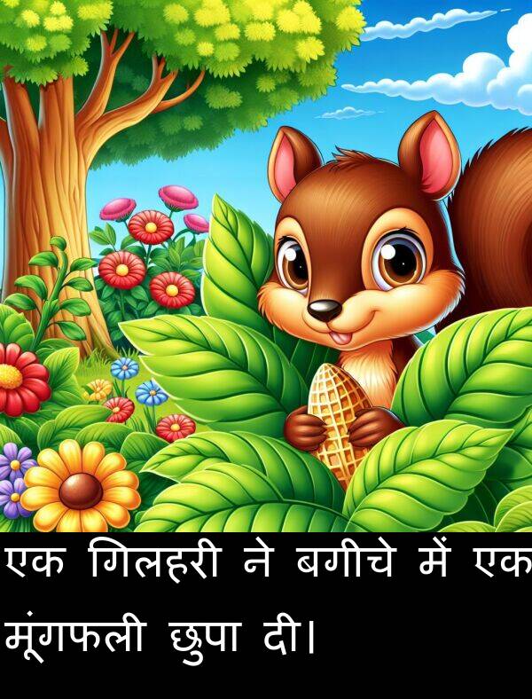 छुपा: एक गिलहरी ने बगीचे में एक मूंगफली छुपा दी।
