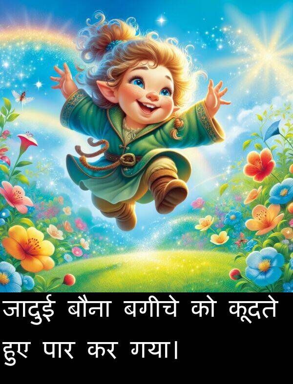 बगीचे: जादुई बौना बगीचे को कूदते हुए पार कर गया।