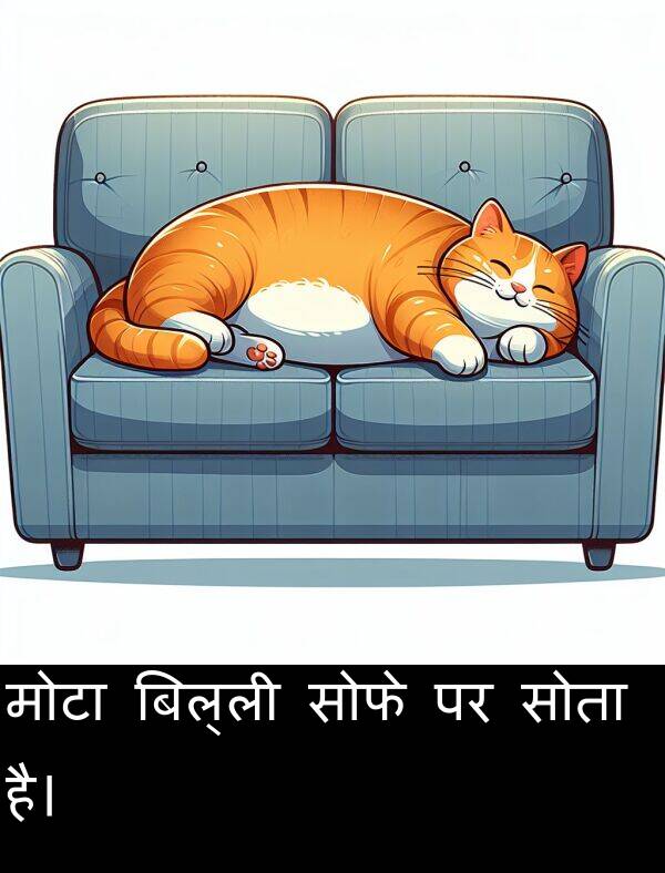 है।: मोटा बिल्ली सोफे पर सोता है।