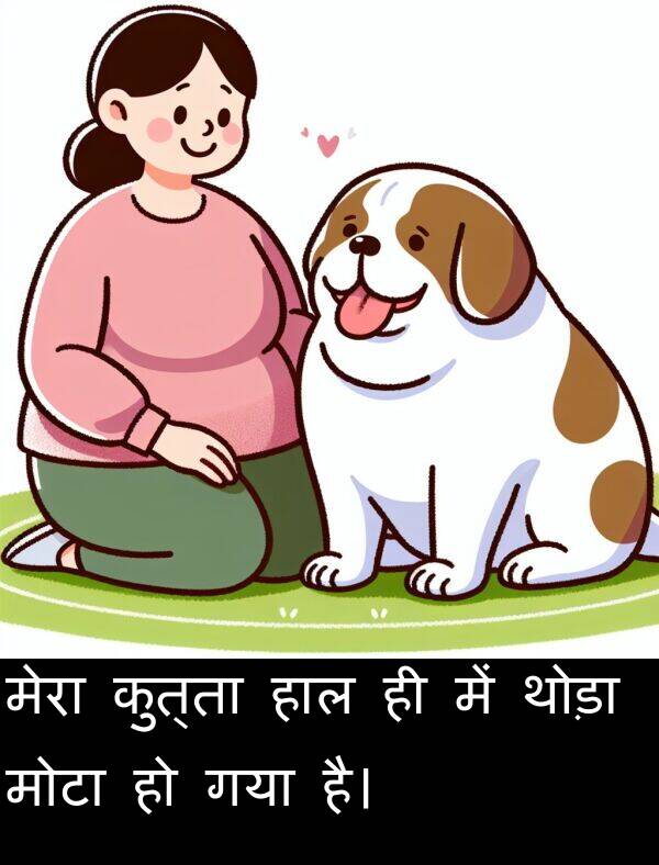 गया: मेरा कुत्ता हाल ही में थोड़ा मोटा हो गया है।