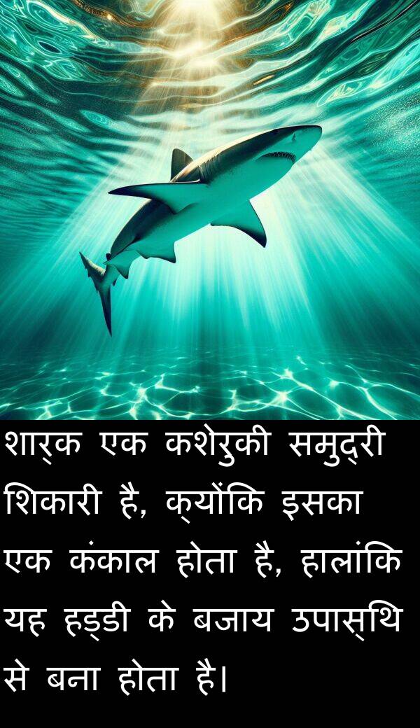 बजाय: शार्क एक कशेरुकी समुद्री शिकारी है, क्योंकि इसका एक कंकाल होता है, हालांकि यह हड्डी के बजाय उपास्थि से बना होता है।