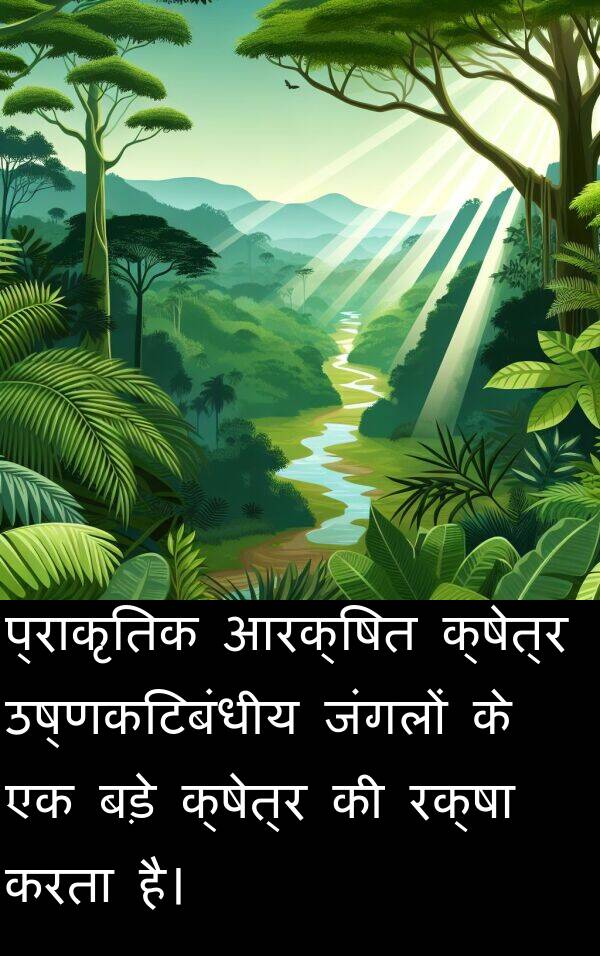 उष्णकटिबंधीय: प्राकृतिक आरक्षित क्षेत्र उष्णकटिबंधीय जंगलों के एक बड़े क्षेत्र की रक्षा करता है।