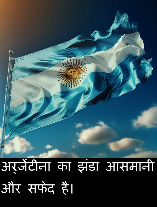 सफेद: अर्जेंटीना का झंडा आसमानी और सफेद है।