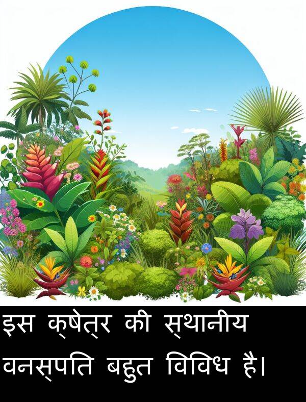 वनस्पति: इस क्षेत्र की स्थानीय वनस्पति बहुत विविध है।