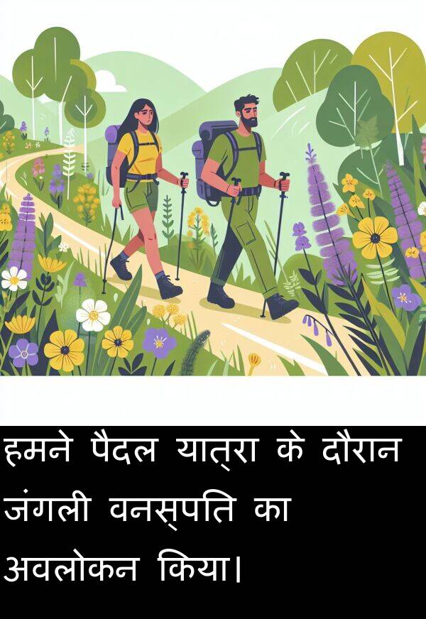 यात्रा: हमने पैदल यात्रा के दौरान जंगली वनस्पति का अवलोकन किया।