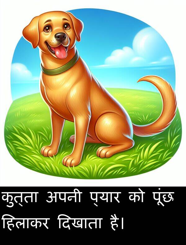 अपनी: कुत्ता अपनी प्यार को पूंछ हिलाकर दिखाता है।