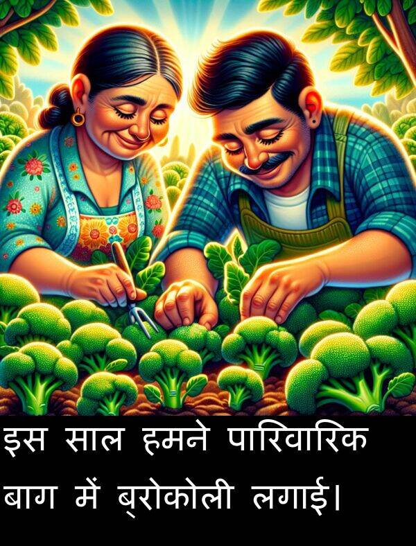 लगाई।: इस साल हमने पारिवारिक बाग में ब्रोकोली लगाई।