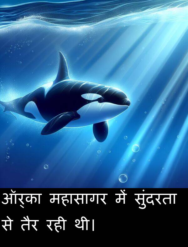 रही: ऑर्का महासागर में सुंदरता से तैर रही थी।
