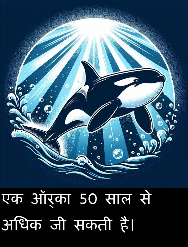 अधिक: एक ऑर्का 50 साल से अधिक जी सकती है।