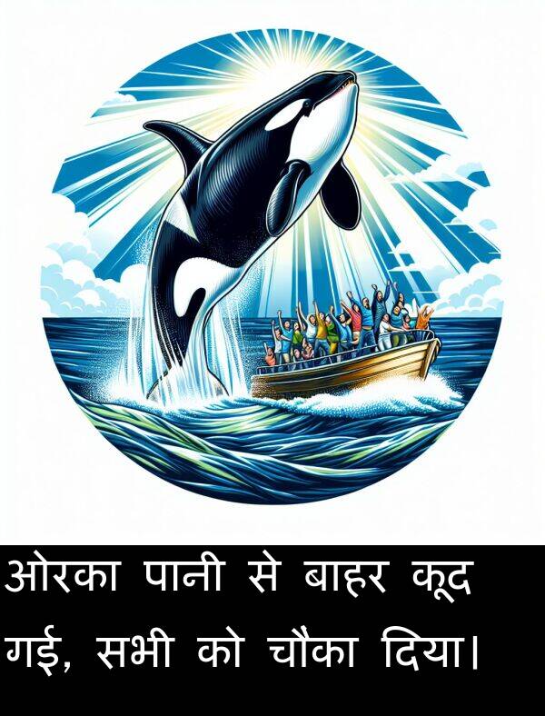 ओरका: ओरका पानी से बाहर कूद गई, सभी को चौंका दिया।