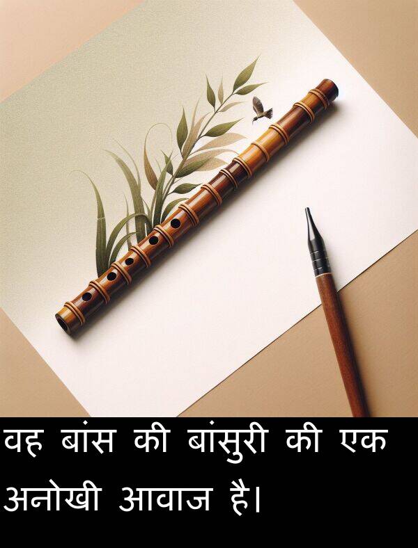 आवाज: वह बांस की बांसुरी की एक अनोखी आवाज है।