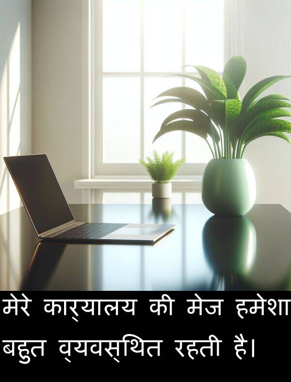 व्यवस्थित: मेरे कार्यालय की मेज हमेशा बहुत व्यवस्थित रहती है।