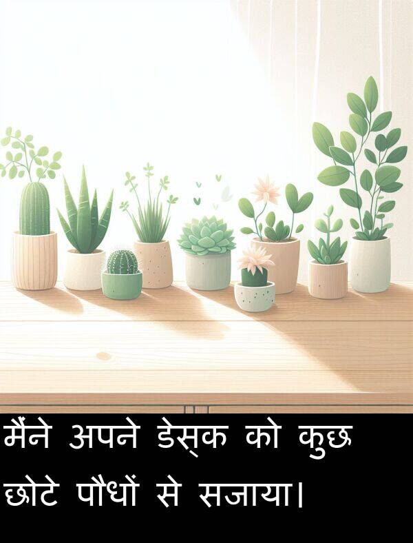छोटे: मैंने अपने डेस्क को कुछ छोटे पौधों से सजाया।