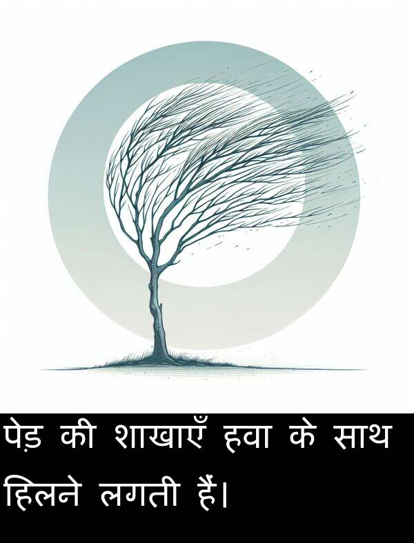 लगती: पेड़ की शाखाएँ हवा के साथ हिलने लगती हैं।
