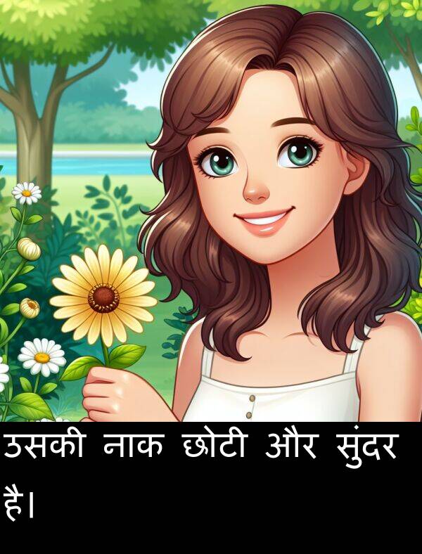 छोटी: उसकी नाक छोटी और सुंदर है।