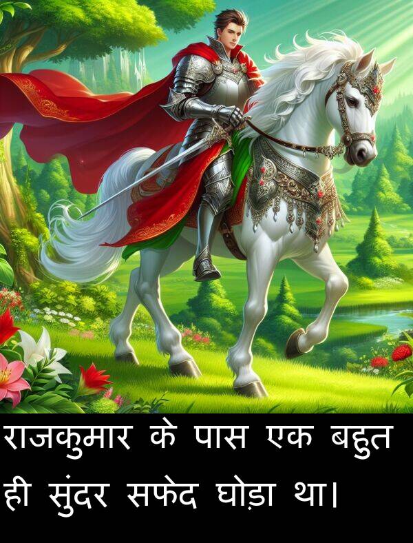 सफेद: राजकुमार के पास एक बहुत ही सुंदर सफेद घोड़ा था।