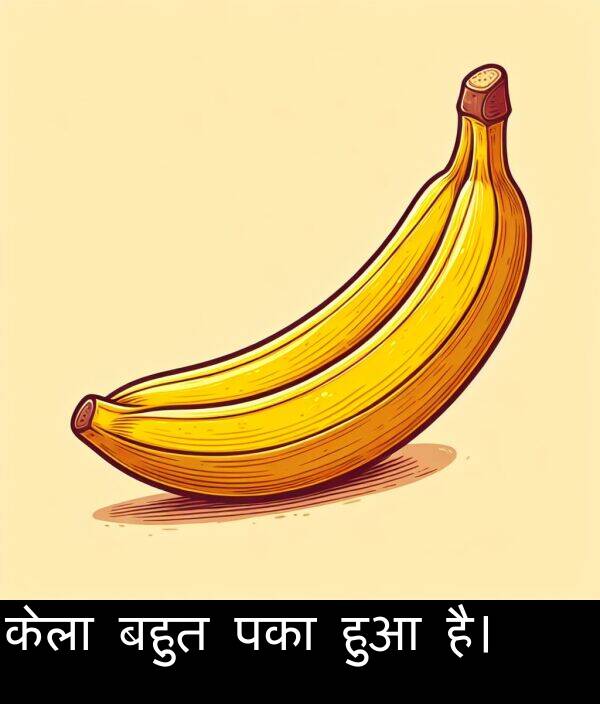 पका: केला बहुत पका हुआ है।