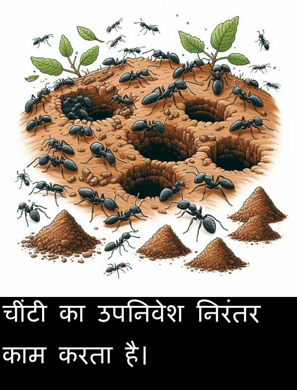 उपनिवेश: चींटी का उपनिवेश निरंतर काम करता है।