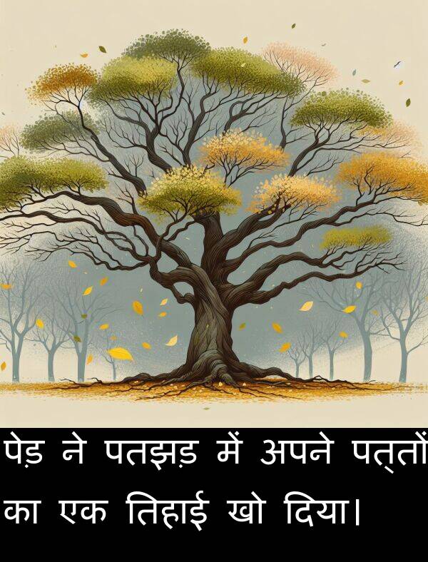 पतझड़: पेड़ ने पतझड़ में अपने पत्तों का एक तिहाई खो दिया।
