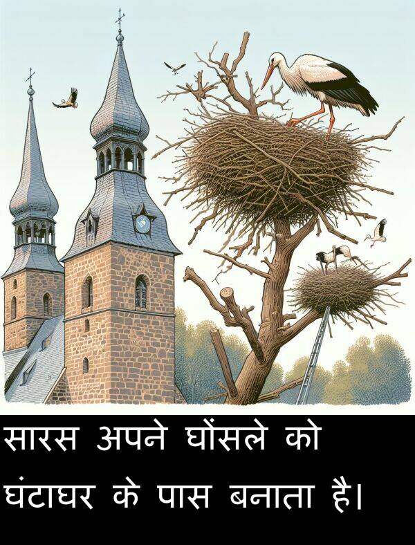 घोंसले: सारस अपने घोंसले को घंटाघर के पास बनाता है।