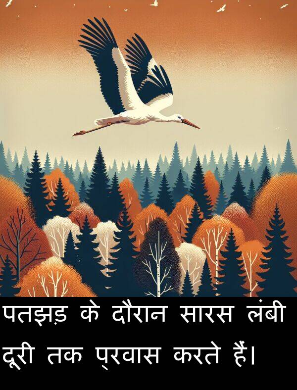 पतझड़: पतझड़ के दौरान सारस लंबी दूरी तक प्रवास करते हैं।