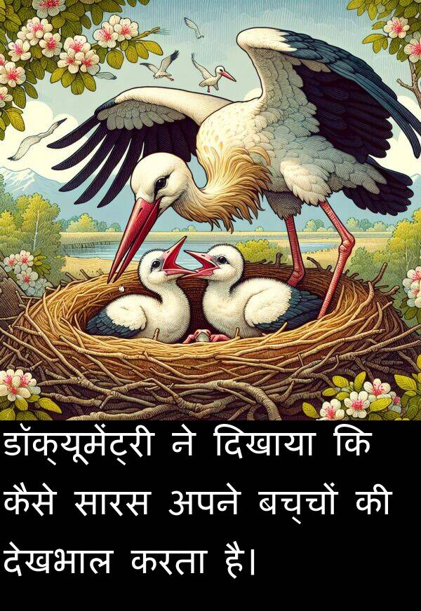 बच्चों: डॉक्यूमेंट्री ने दिखाया कि कैसे सारस अपने बच्चों की देखभाल करता है।