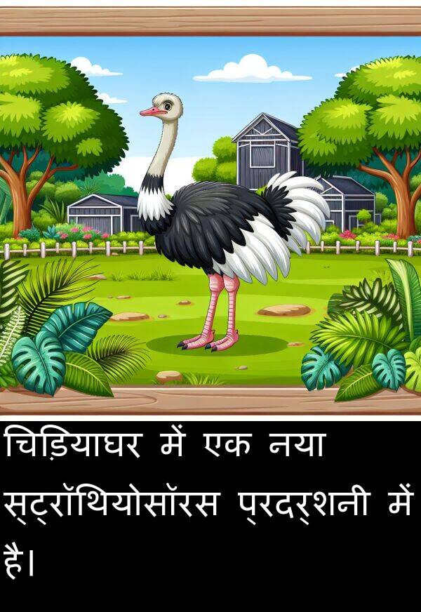 चिड़ियाघर: चिड़ियाघर में एक नया स्ट्रॉथियोसॉरस प्रदर्शनी में है।
