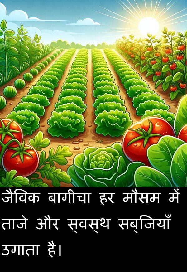 ताजे: जैविक बागीचा हर मौसम में ताजे और स्वस्थ सब्जियाँ उगाता है।