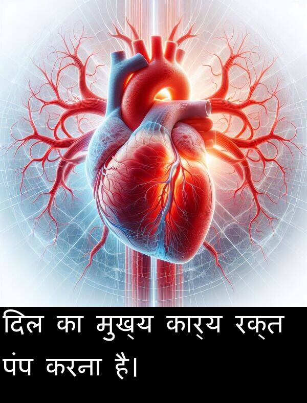 पंप: दिल का मुख्य कार्य रक्त पंप करना है।