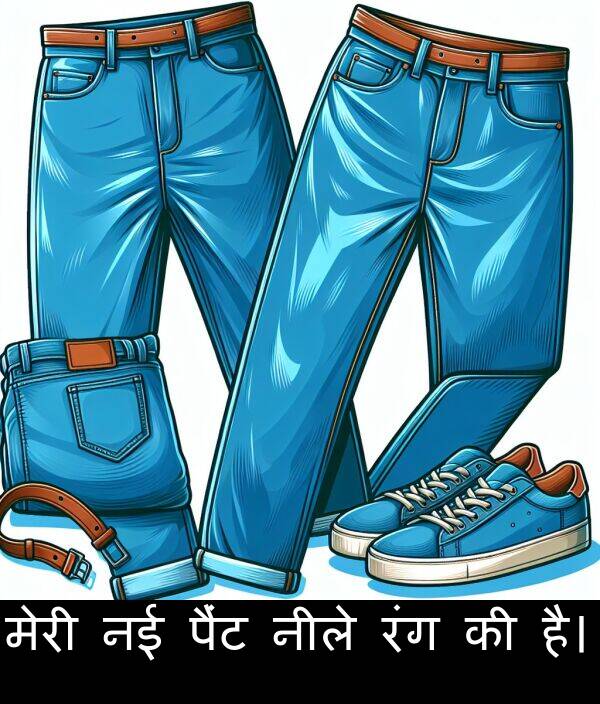 है।: मेरी नई पैंट नीले रंग की है।